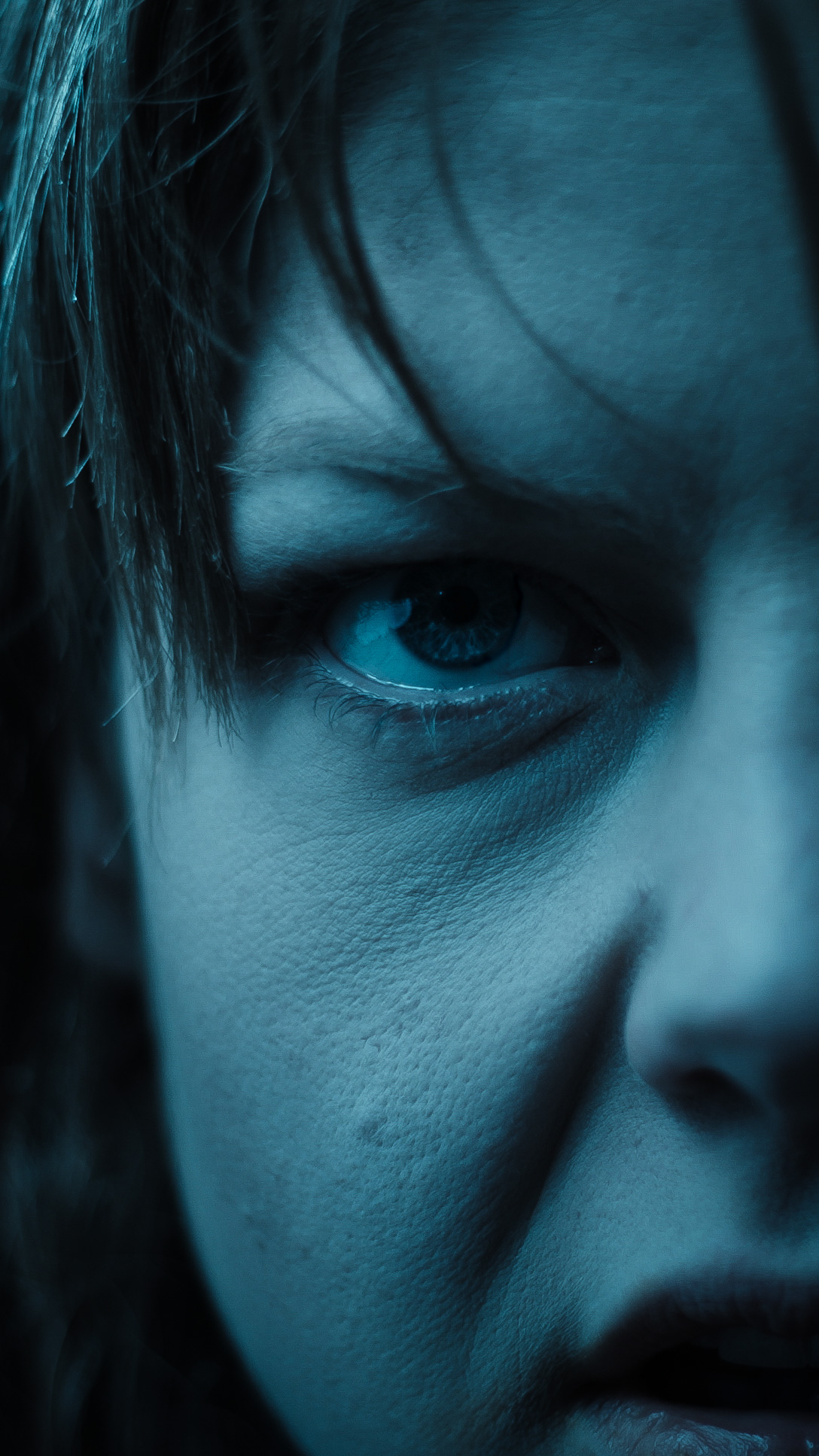 Schimmelreiter Cover